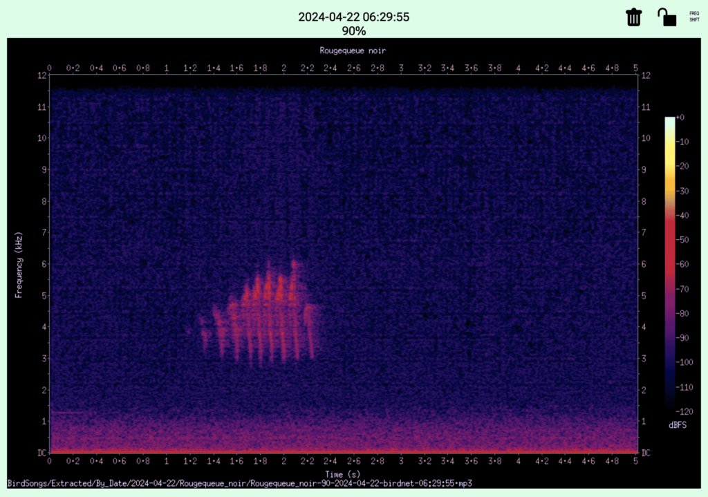 spectrogramme ou phonogramme du rougequeue noir.