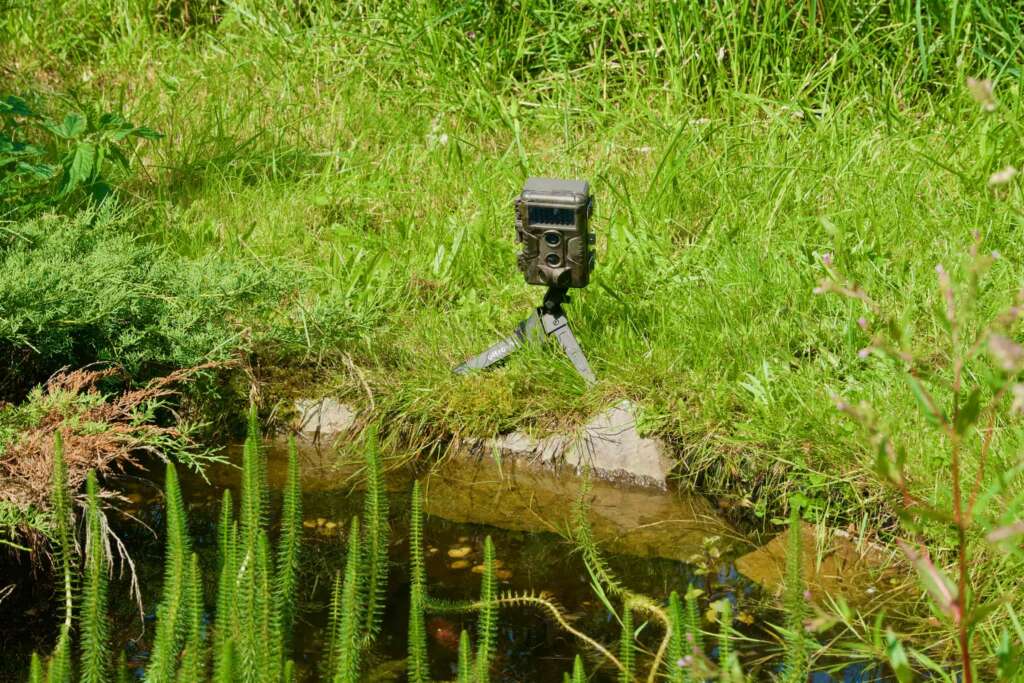 Test caméra de chasse GardePro